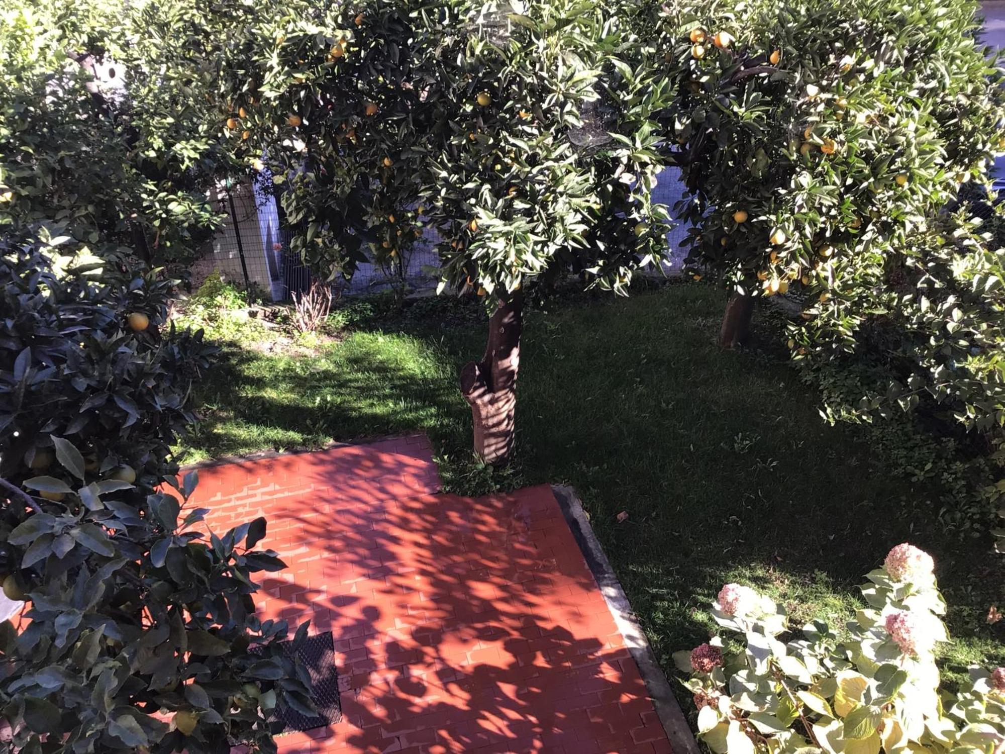 Casa Luigia Rooms Mtb In Finalborgo Bike Room Tour Ebike Trekking Finale Ligure Exteriör bild
